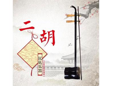 招聘六安二胡家教老师